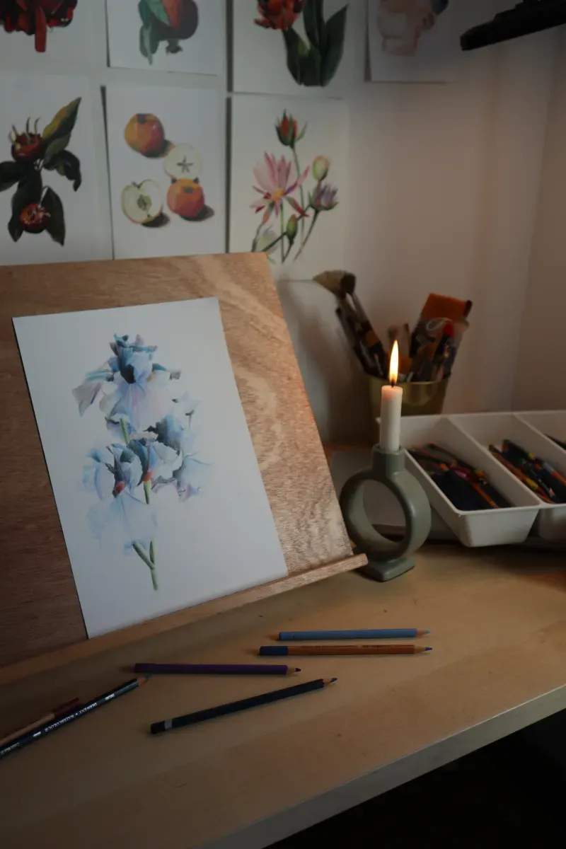 Northline Drawing Atelier 7